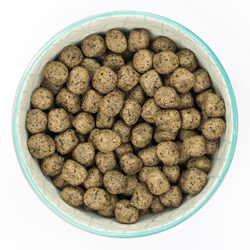 Burns Adult & Senior Sensitive Grain-Free - Turkey & Potato || Burns || view 4