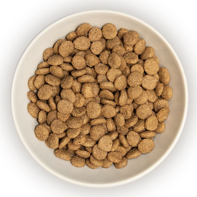 Burns Adult & Senior Cat Original Turkey & Brown Rice || Burns || view 4