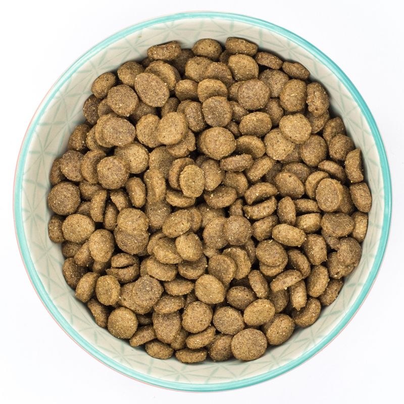 Burns Senior+ Toy & Small Breed - Chicken & Brown Rice || Burns || view 4