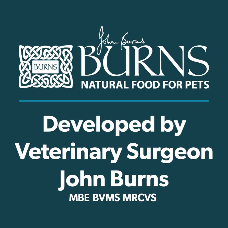 Burns Adult & Senior Sensitive Grain-Free - Turkey & Potato || Burns || view 13