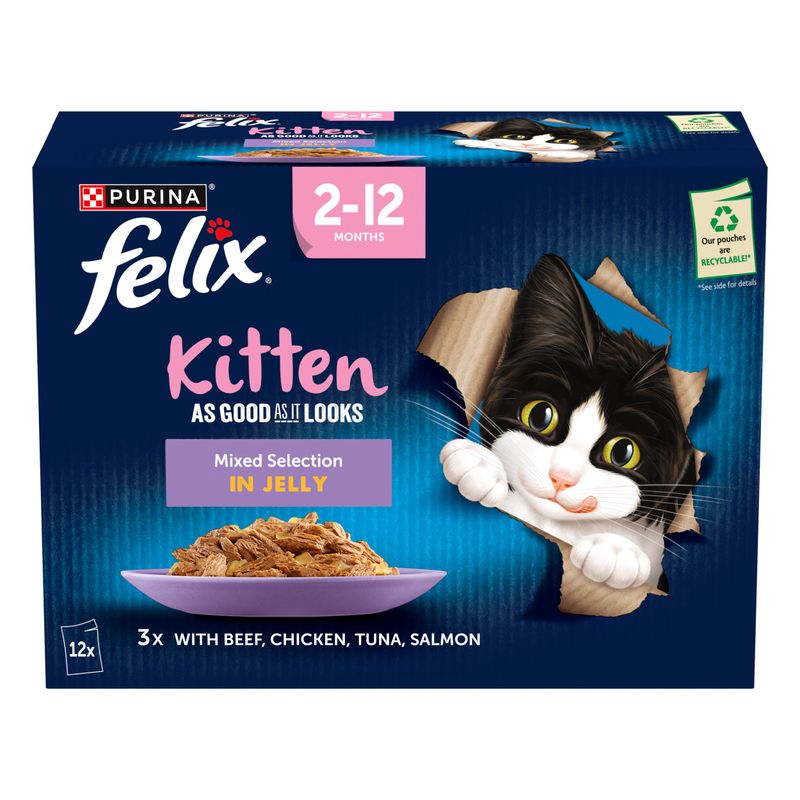 Felix Kitten As Good As It Looks || undefined || view 3