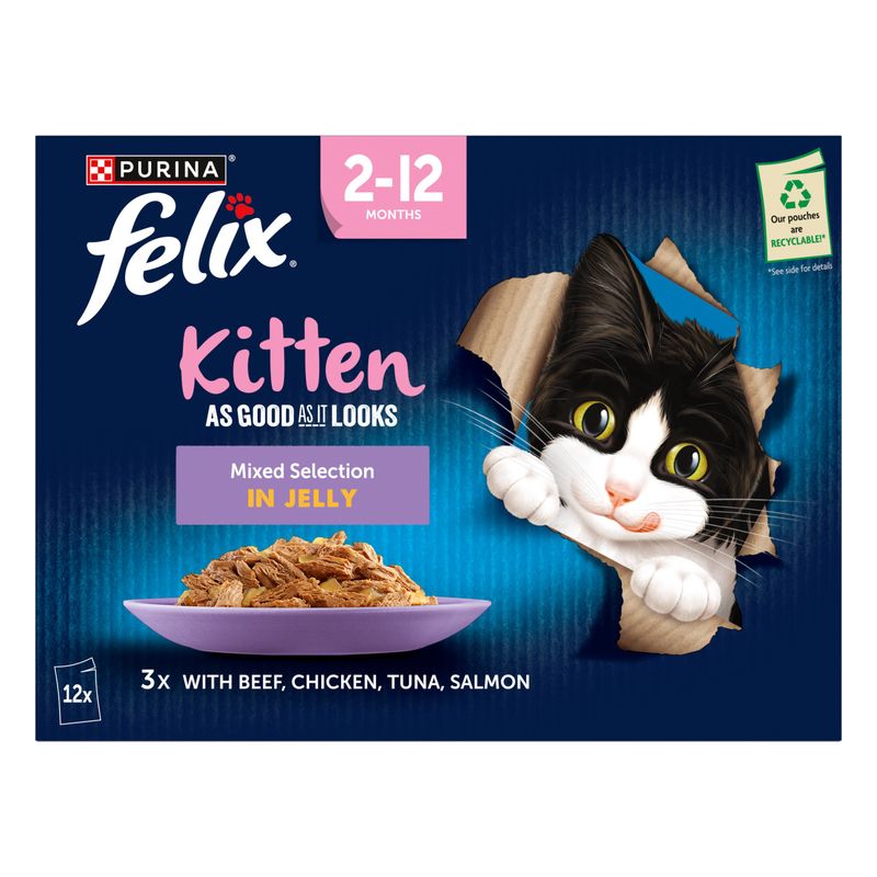 Felix Kitten As Good As It Looks || undefined || view 4