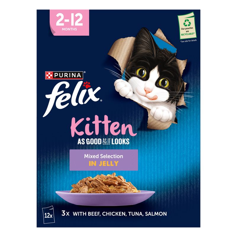 Felix Kitten As Good As It Looks || undefined || view 5