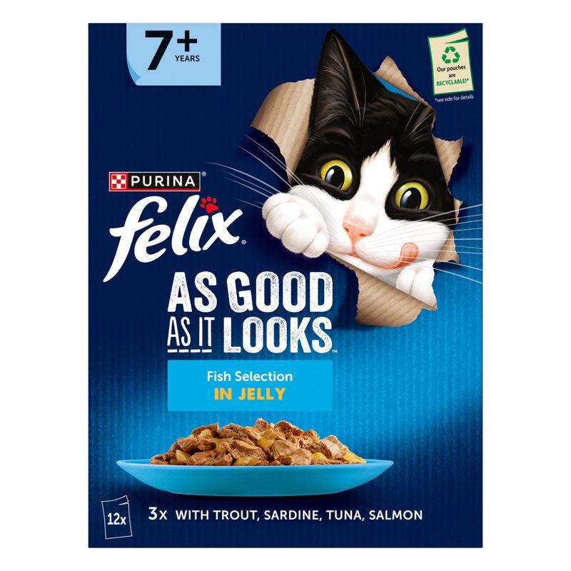 Felix Senior As Good As It Looks 24 x 100g/85g || undefined || view 9