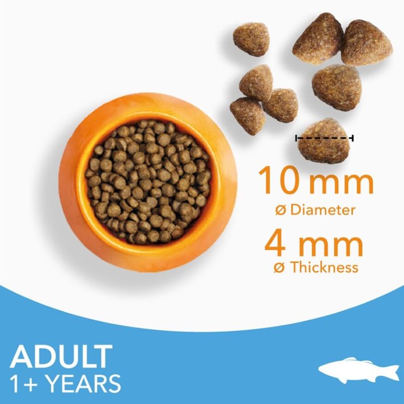 IAMS Advanced Nutrition Adult Cat with Ocean Fish || IAMS || view 4