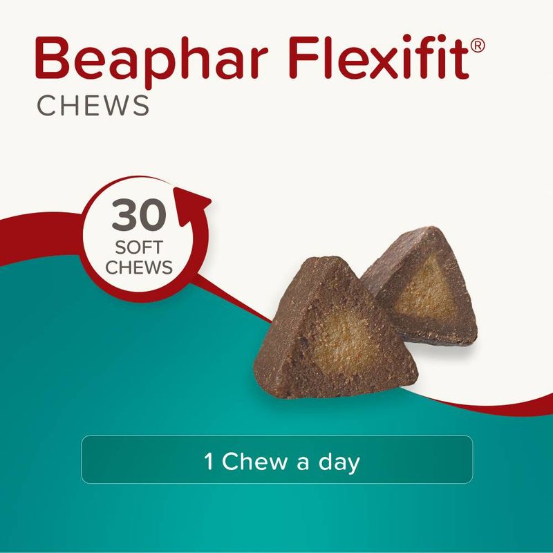 beaphar Flexifit® Optimum UC-II® Joint Supplement Chews for Dogs || beaphar || view 2