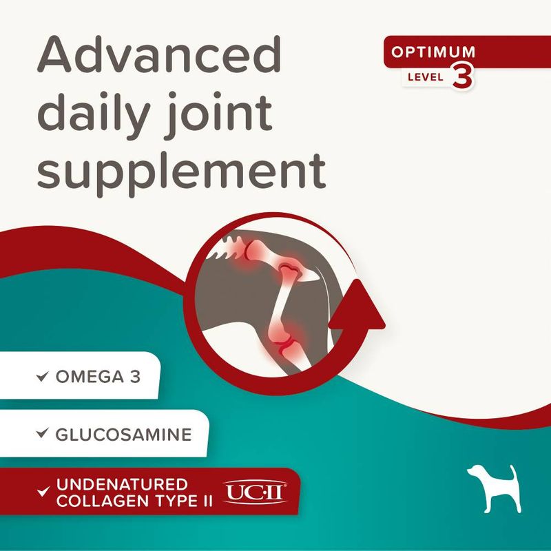 beaphar Flexifit® Optimum UC-II® Joint Supplement Chews for Dogs || beaphar || view 4
