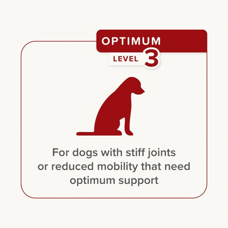beaphar Flexifit® Optimum UC-II® Joint Supplement Chews for Dogs || beaphar || view 5