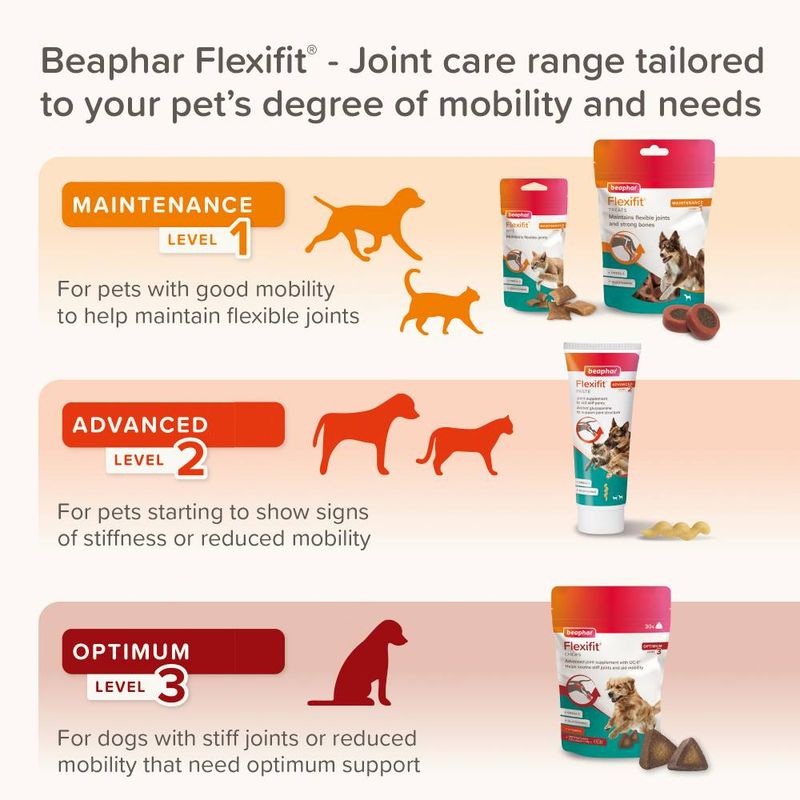 beaphar Flexifit® Optimum UC-II® Joint Supplement Chews for Dogs || beaphar || view 6