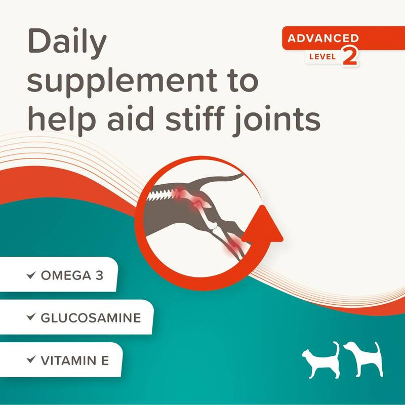 beaphar Flexifit® Advanced Joint Supplement Paste for Cats & Dogs || beaphar || view 6