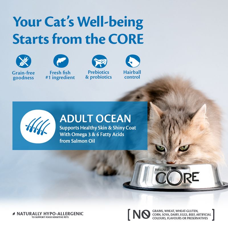 Wellness Core Adult Ocean Dry Cat Food || Wellness Core || view 5