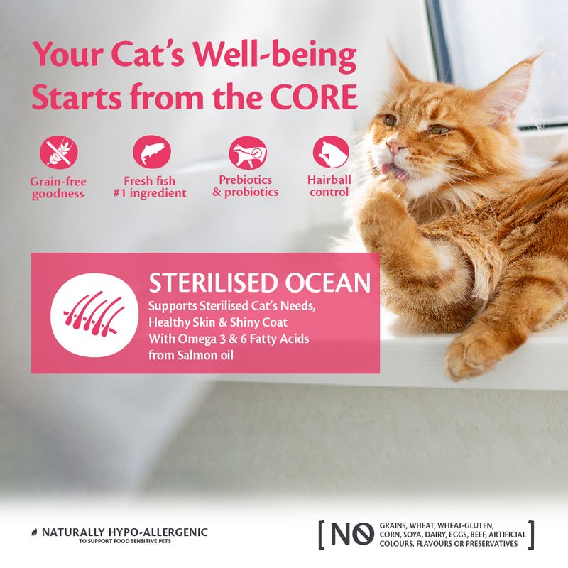Wellness Core Adult Sterilised Ocean Dry Cat Food || Wellness Core || view 5