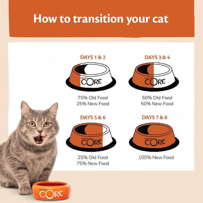 Wellness Core Adult Sterilised Ocean Dry Cat Food || Wellness Core || view 7