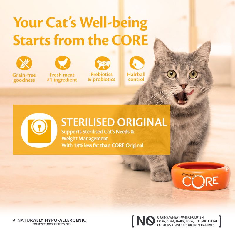 Wellness Core Adult Sterilised Original Dry Cat Food || Wellness Core || view 5
