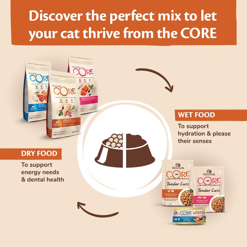 Wellness Core Adult Sterilised Original Dry Cat Food || Wellness Core || view 8