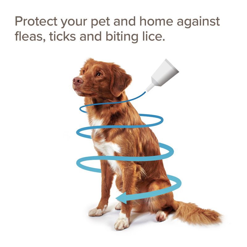 beaphar FIPROtec® COMBO Flea & Tick Spot-On for Dogs - M (10-20kg) || beaphar || view 7