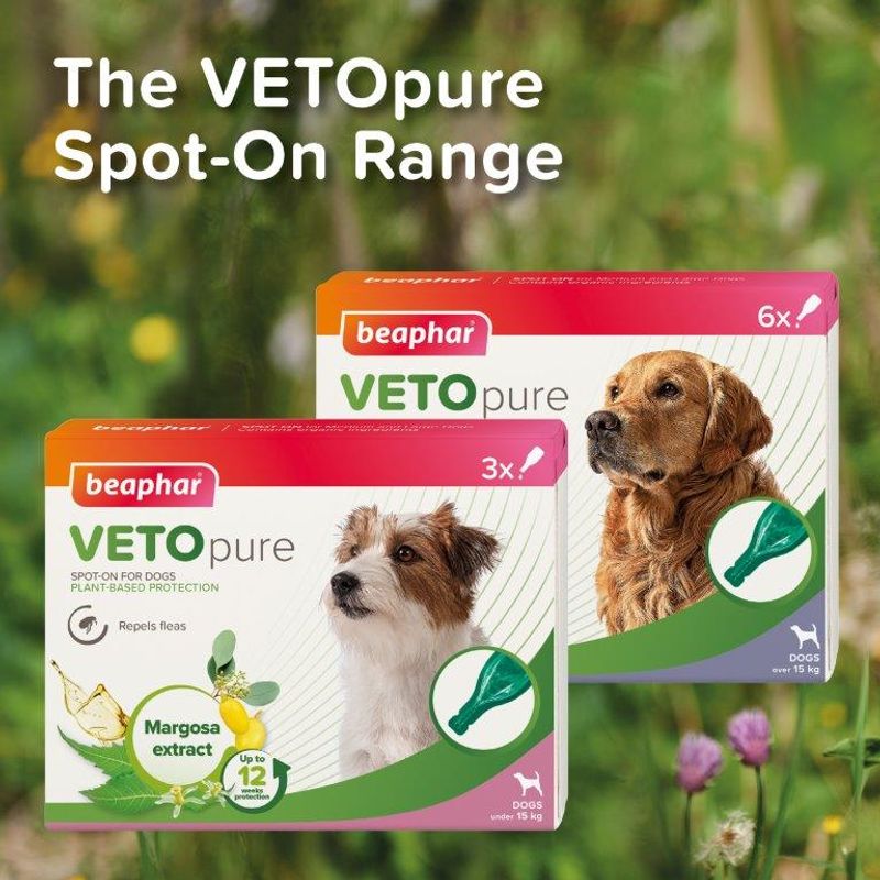beaphar VETOpure Plant-Based Protection Flea Spot-On for Dogs (<15kg) || beaphar || view 8