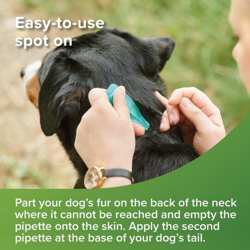 beaphar VETOpure Plant-Based Protection Flea Spot-On for Dogs (>15kg) || beaphar || view 6