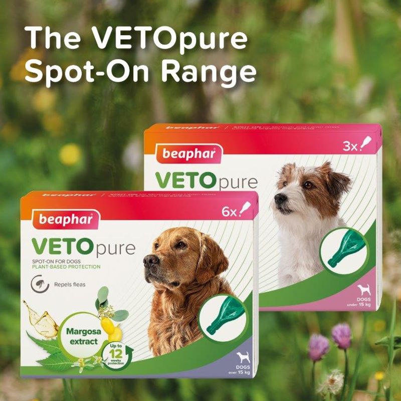 beaphar VETOpure Plant-Based Protection Flea Spot-On for Dogs (>15kg) || beaphar || view 8
