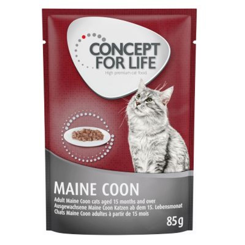 Concept for Life Maine Coon Adult || Concept for Life || view 5