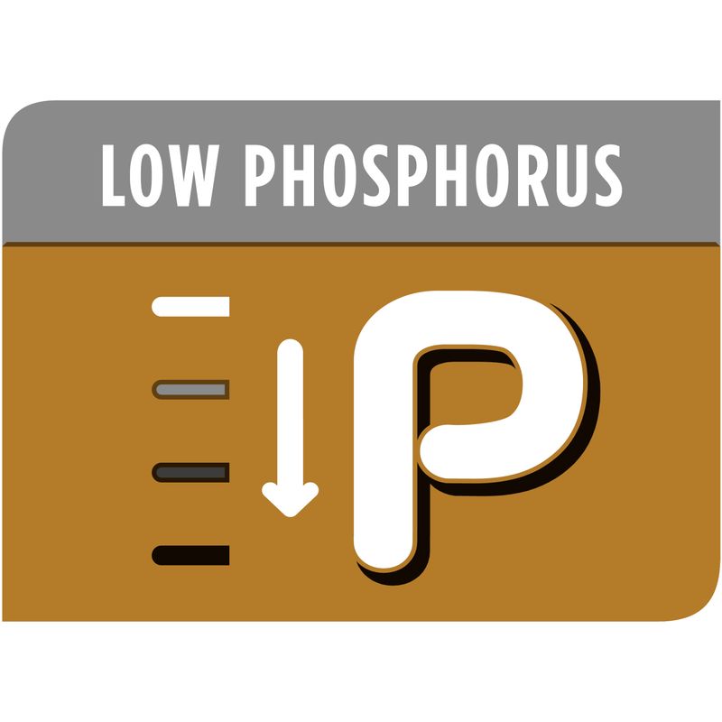 PURINA PRO PLAN Veterinary Diets Feline NF - Advanced Care Renal Function || Purina Pro Plan Veterinary Diets || view 4