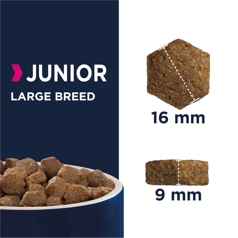 Eukanuba Developing Junior Large & Giant Breed – Chicken || Eukanuba || view 2