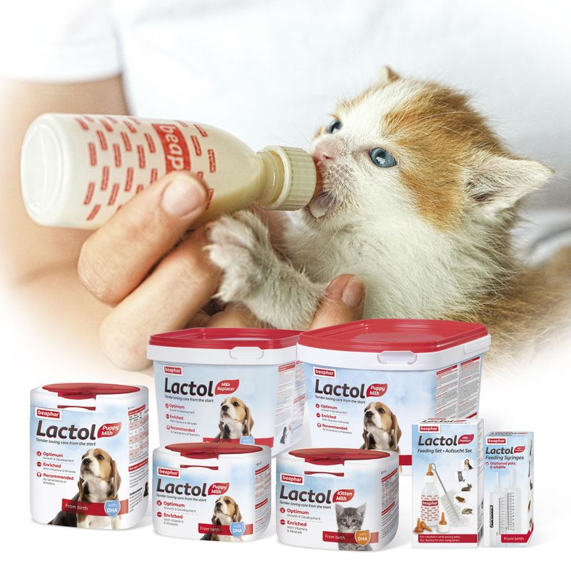 beaphar Lactol Milk Replacer for Kittens || beaphar || view 5