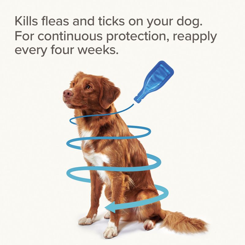 beaphar FIPROtec® Flea & Tick Spot-On for Dogs - S (2-10kg) || beaphar || view 7
