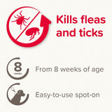 beaphar FIPROtec® Flea & Tick Spot-on For Dogs - L (20-40kg) || beaphar || view 5
