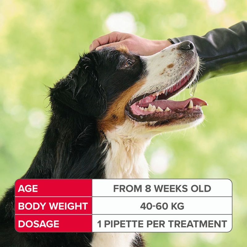 beaphar FIPROtec® Flea & Tick Spot-on For Dogs - XL (>40kg) || beaphar || view 9