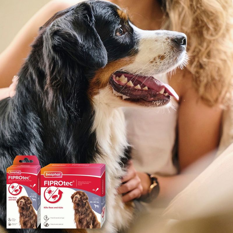 beaphar FIPROtec® Flea & Tick Spot-on For Dogs - XL (>40kg) || beaphar || view 10