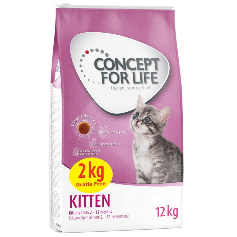 Concept for Life Kitten || Concept for Life || view 5
