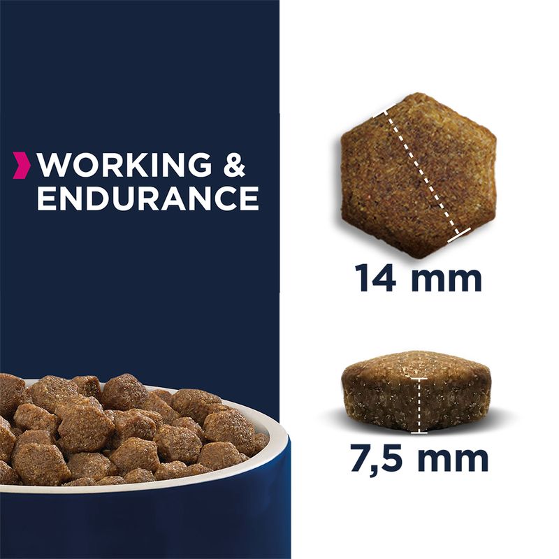 Eukanuba Daily Care Adult Working & Endurance || Eukanuba || view 4