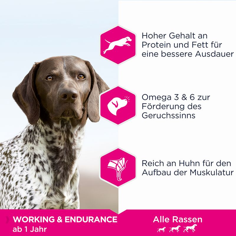 Eukanuba Daily Care Adult Working & Endurance || Eukanuba || view 3