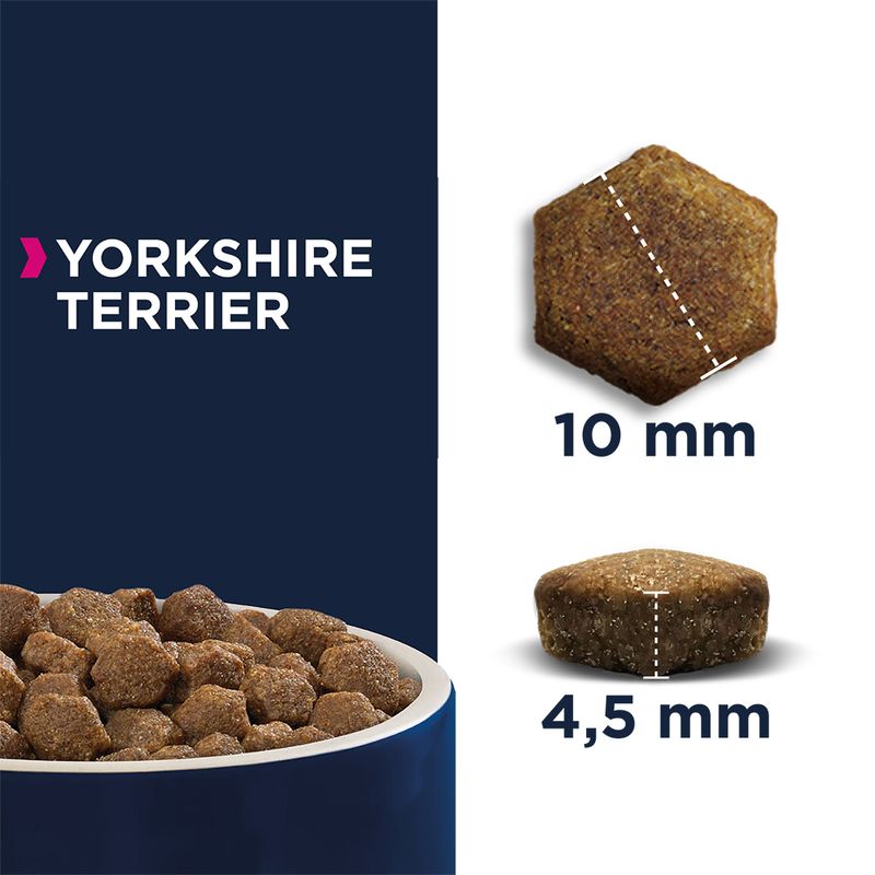 Eukanuba Yorkshire Terrier Adult || Eukanuba || view 3