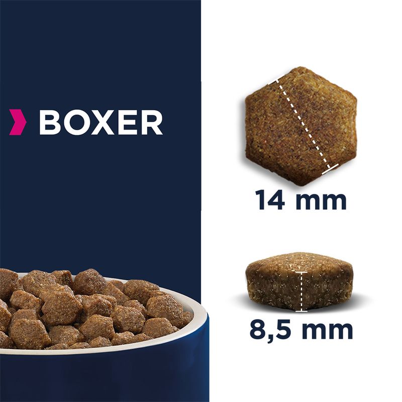 Eukanuba Boxer Adult || Eukanuba || view 5