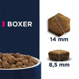 Eukanuba Boxer Adult || Eukanuba || view 5