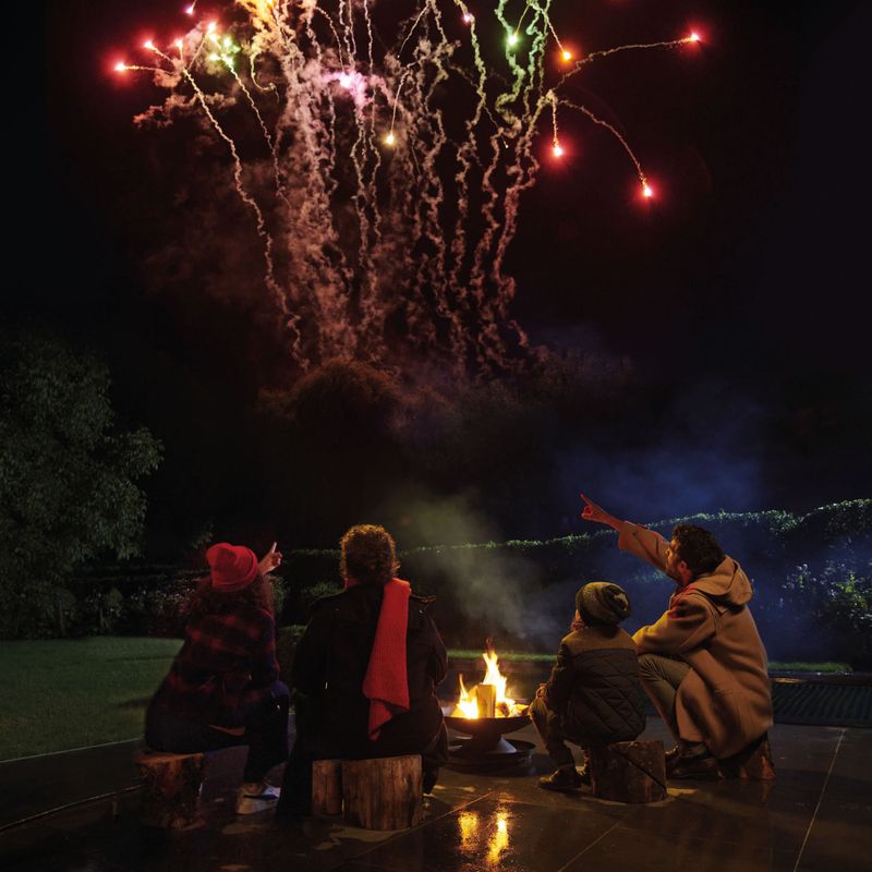 beaphar CaniComfort® Calming Diffuser for Dogs || beaphar || view 12