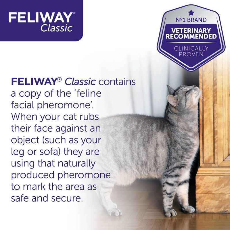 Feliway® Classic Refill || undefined || view 5