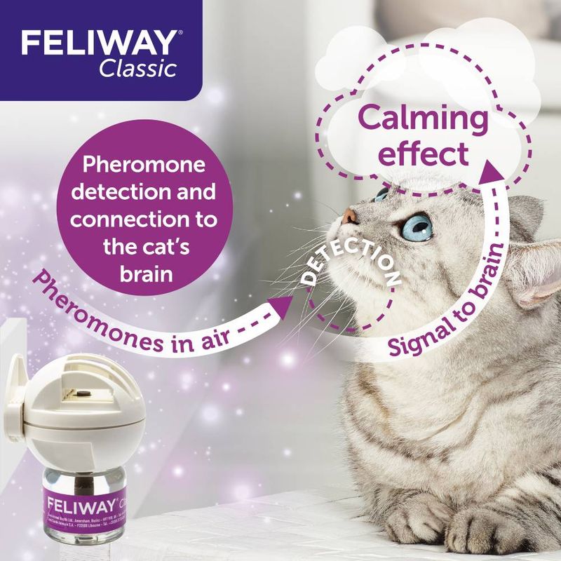 Feliway® Classic Refill Multi Pack || undefined || view 5