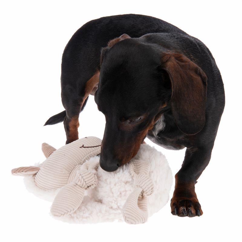 Sleepy Unicorn Dog Toy || zooplus Exclusive || view 6