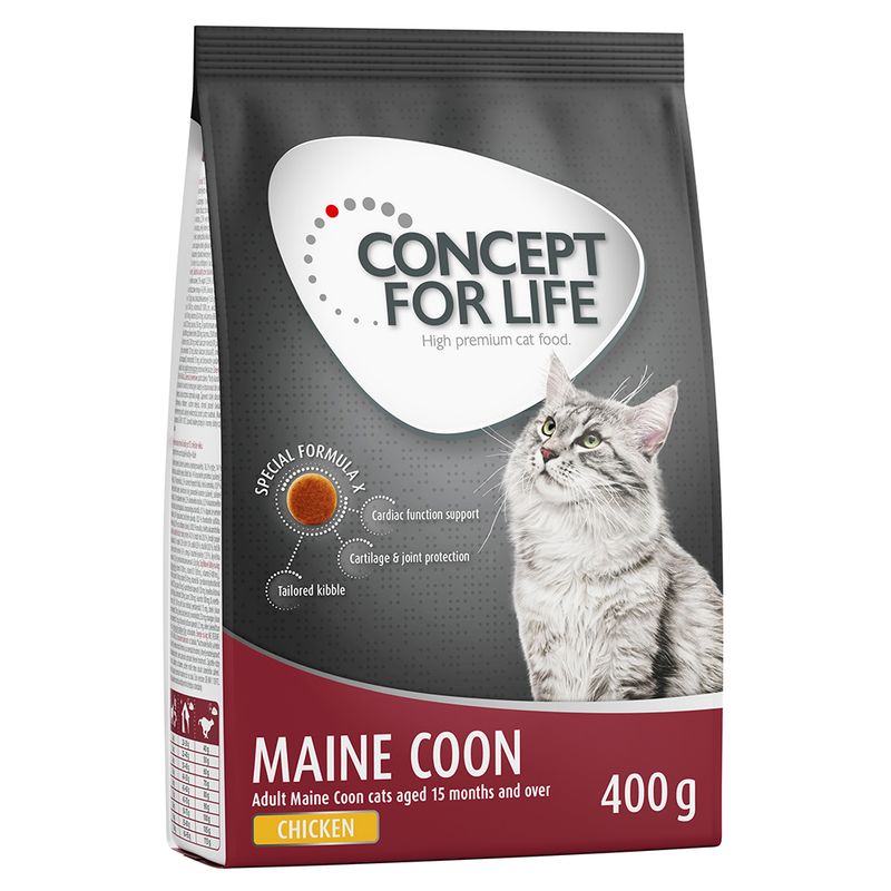 Concept for Life Maine Coon Adult || Concept for Life || view 2