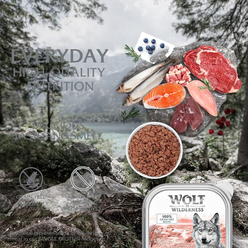 Wolf of Wilderness Adult Classic 6 x 300g || Wolf of Wilderness || view 2