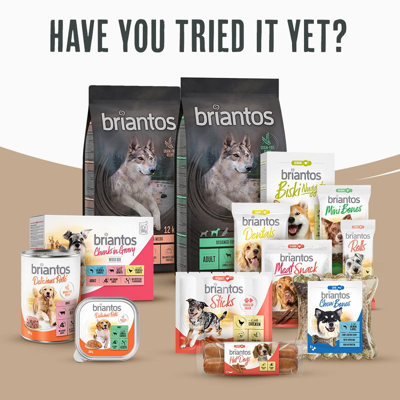 Briantos Adult Light/Sterilised Grain-Free Turkey & Potato || briantos || view 7