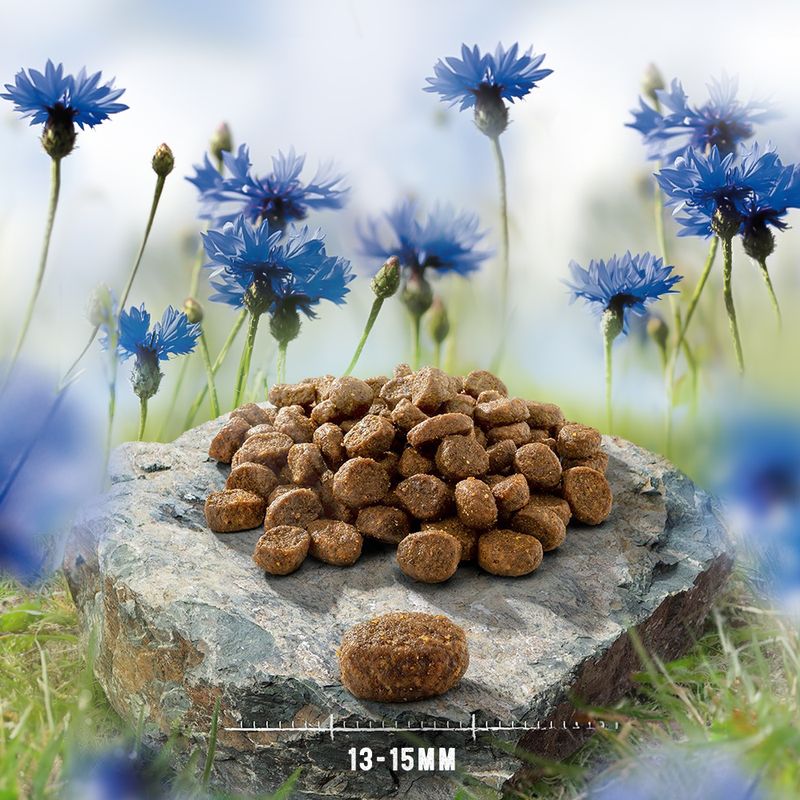 Purizon Single Meat Adult Dog - Grain-Free Chicken with Camomile Blossoms || Purizon || view 3