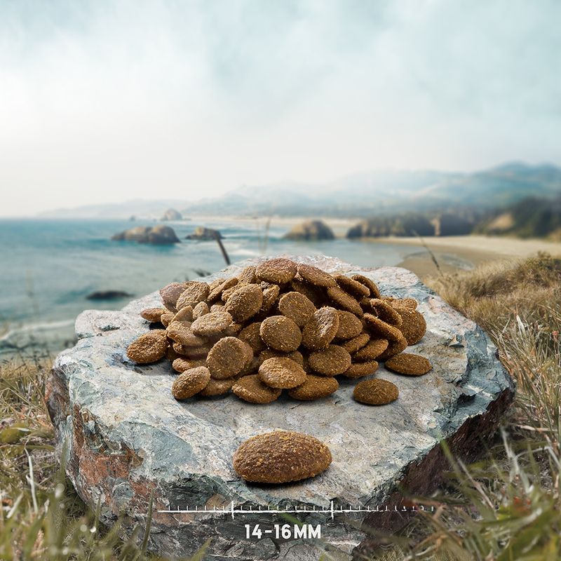 Purizon Puppy Large Breed Dog – Grain-Free Chicken & Fish || Purizon || view 2