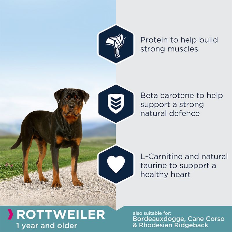 Eukanuba Rottweiler Adult || Eukanuba || view 4