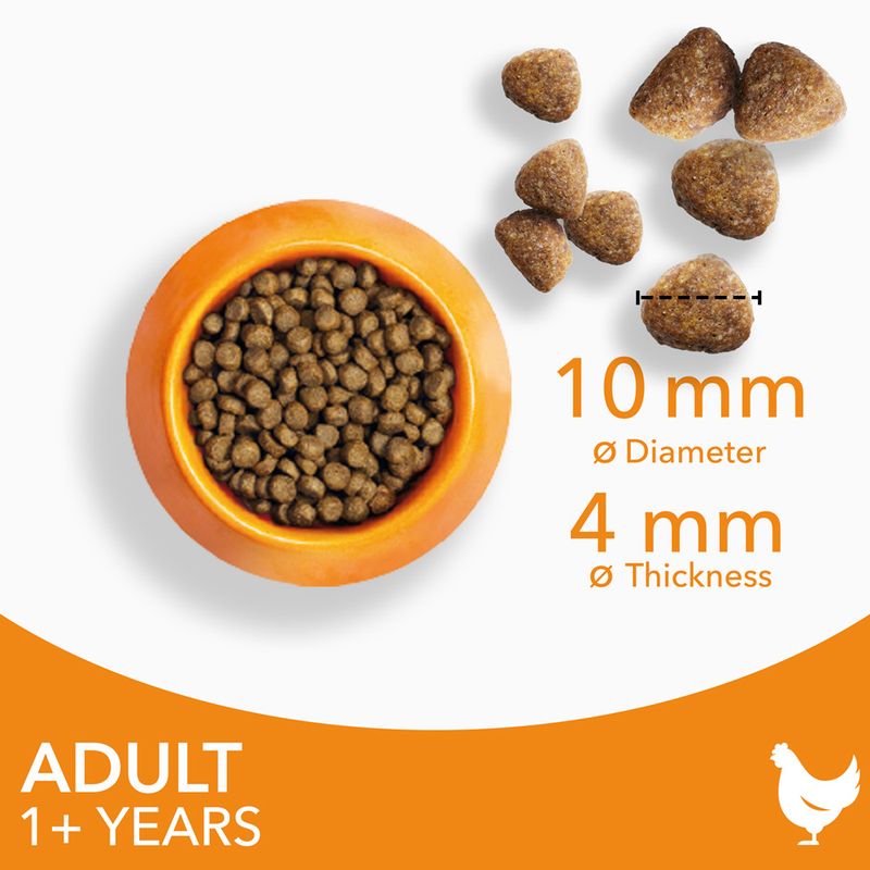 IAMS Advanced Nutrition Adult Cat with Chicken || IAMS || view 5