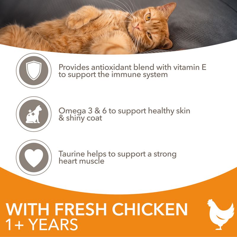 IAMS Advanced Nutrition Adult Cat with Chicken || IAMS || view 4