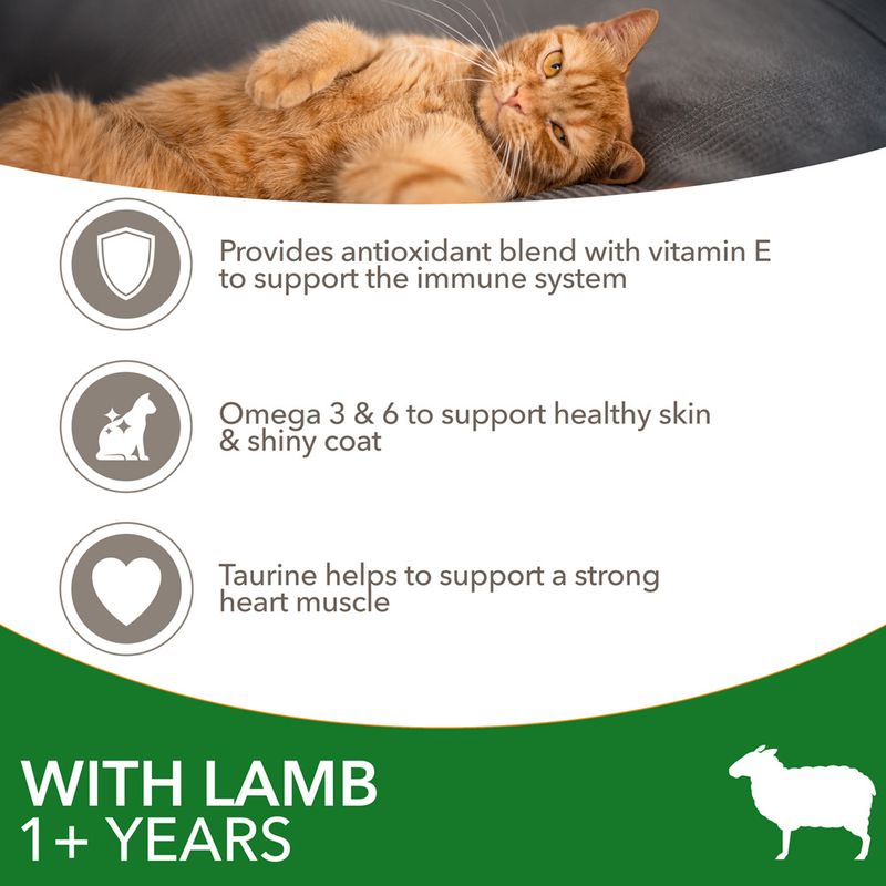 IAMS Advanced Nutrition Adult Cat with Lamb || IAMS || view 4